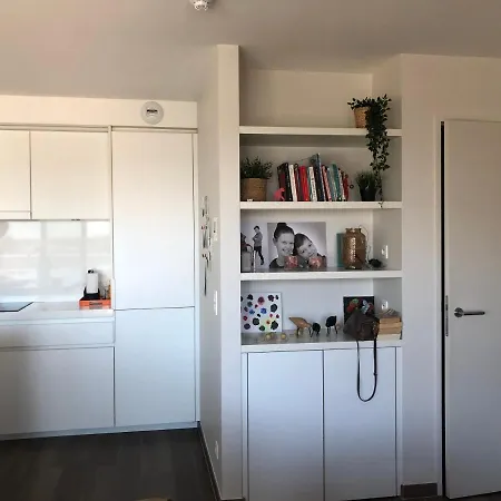 Lägenhet Penthouse Karthuizer